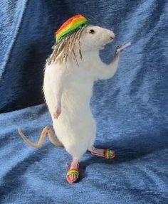 RATstafarian rat in Rasta style